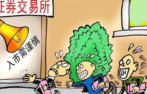 牛散孵化记录 借钱投资的陷阱与自有资金的力量